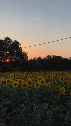 whatsapp image 2020-12-18 at 18 whatsapp image 2020-12-18 at 18